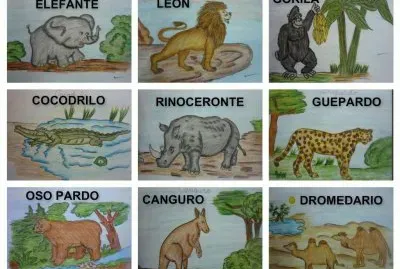 ANIMALES DEL MUNDO jigsaw puzzle