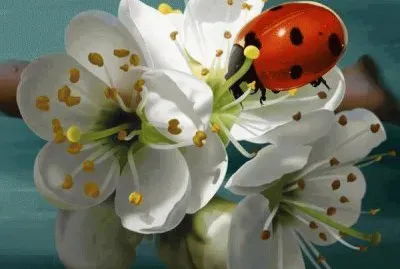flor
