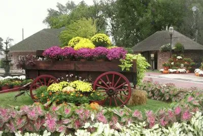 פאזל של NÂº 316