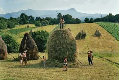 NÂº 317 jigsaw puzzle