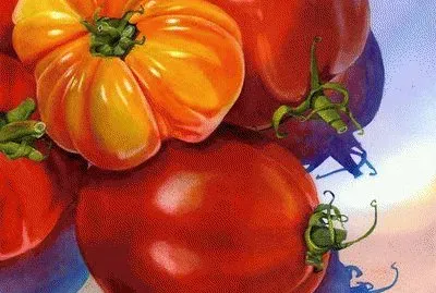 Tomatos jigsaw puzzle