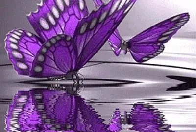 Purple Butterflies