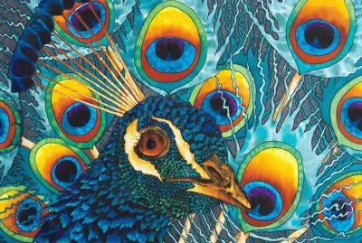 Insane Peacock jigsaw puzzle