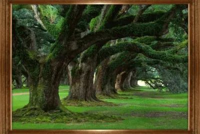 PAISAJE 5 jigsaw puzzle