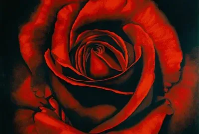 The Rose by Robert Longo