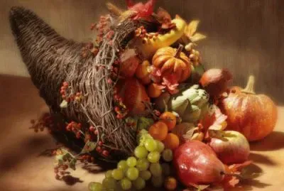 Nov7