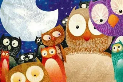 Owl Family