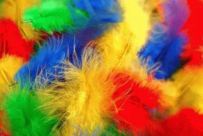 colors