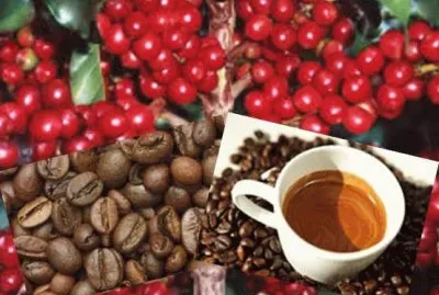 CafÃ©