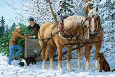 cavalos