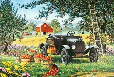 carro