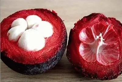 Mangostino - Garcinia mangostana