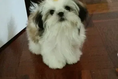 Milly