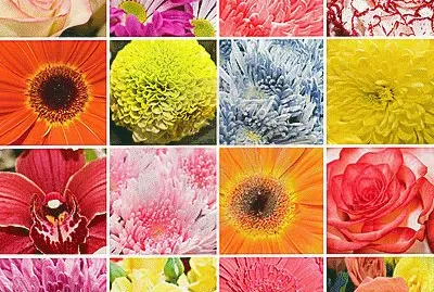 פאזל של FaraÃ³n