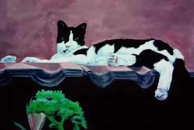 gatto di ferragosto