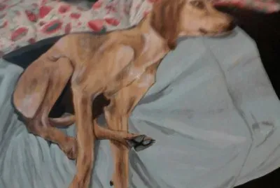 ciro