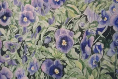 viole