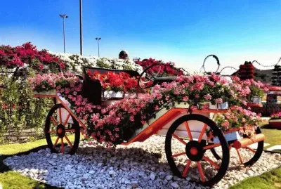 NÂº 494 jigsaw puzzle