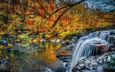 Paisagem jigsaw puzzle