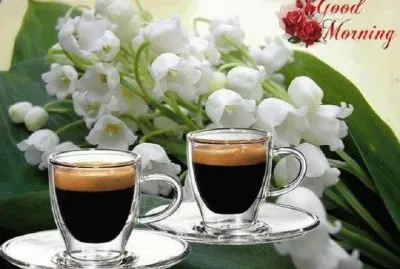 arranjo jigsaw puzzle