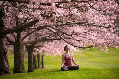 פאזל של YOGUI BAJO LOS CEREZOS.