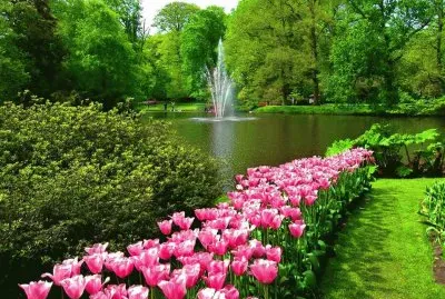 Jardins
