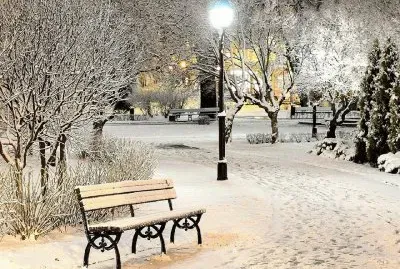 Parque