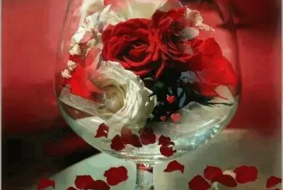 Lindo