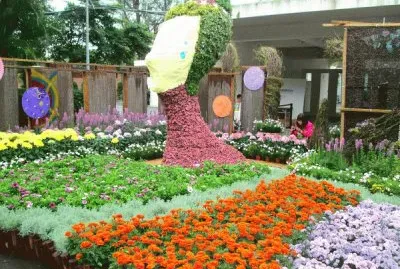 èŠèŠ±