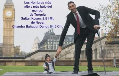 CONTRASTES. jigsaw puzzle