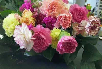 פאזל של bouquet