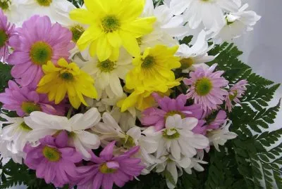 פאזל של bouquet