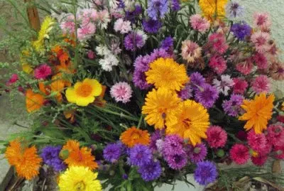 bouquet
