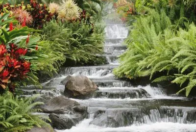 paisaje