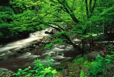 naturaleza