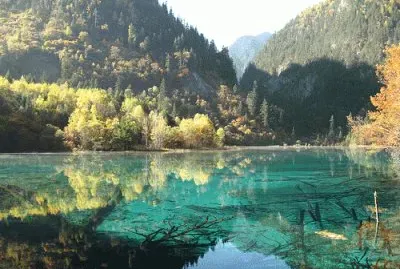 naturaleza