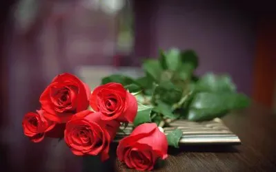 Rosas.- jigsaw puzzle