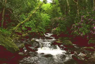 Irlanda