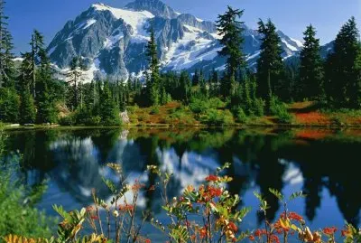 naturaleza