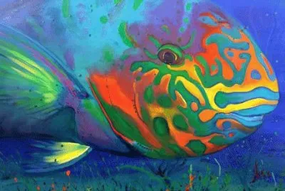 Parrot Fish Curacao jigsaw puzzle