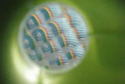 fotos tomasdas por mi