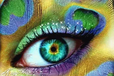 Peacock Eye