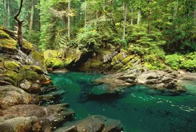 naturaleza