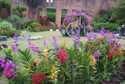 flores