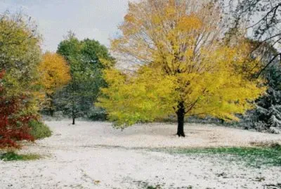 nov25