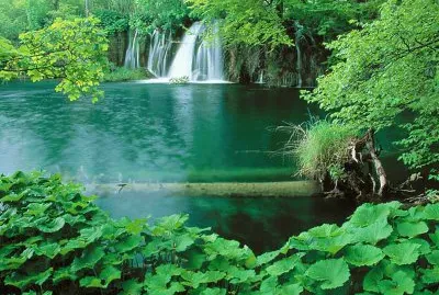 naturaleza