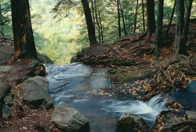 naturaleza
