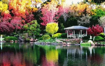 colores jigsaw puzzle