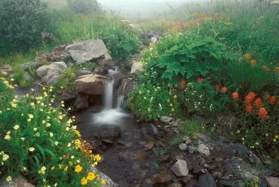 naturaleza