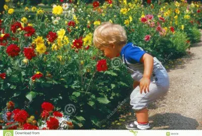 flores4 jigsaw puzzle